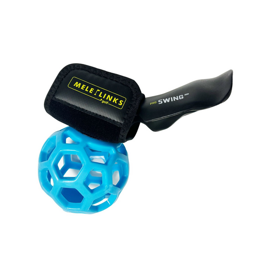 Swing Lock Arm Trainer